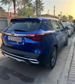 کیا سێلتۆس